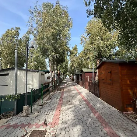 Casa Allegra キャンプ場